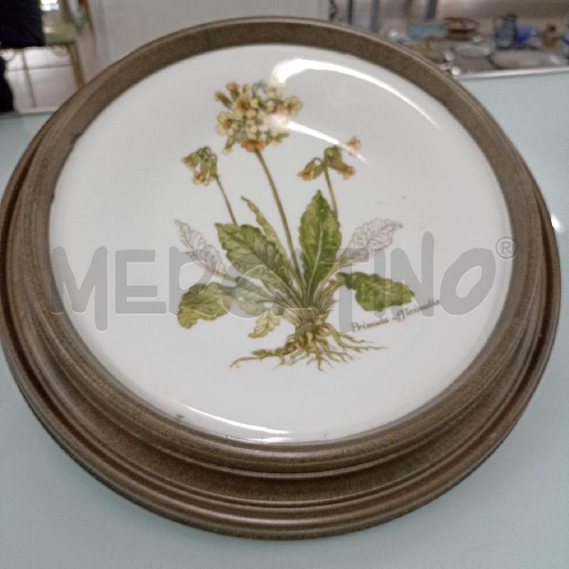 PIATTO RICHARD GINORI PRIMULA  | Mercatino dell'Usato Lamezia terme 1