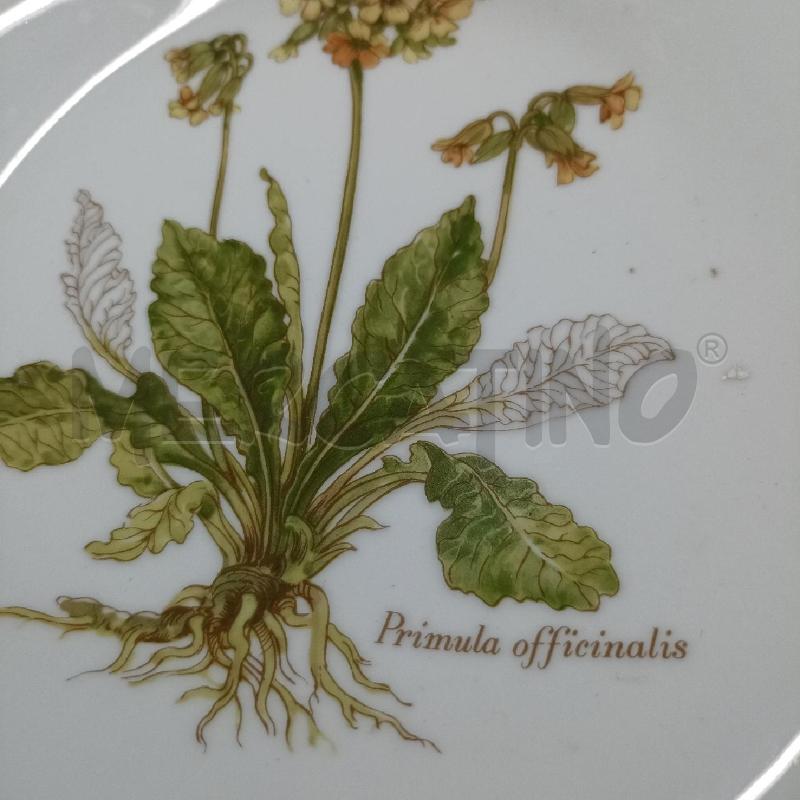 PIATTO RICHARD GINORI PRIMULA  | Mercatino dell'Usato Lamezia terme 2
