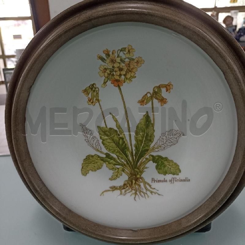 PIATTO RICHARD GINORI PRIMULA  | Mercatino dell'Usato Lamezia terme 3