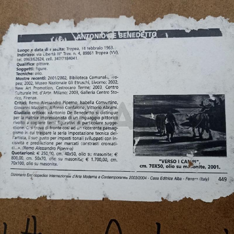 QUADRO VERSO I CAMPI OLIO SU TELA 50X70CM A DE BENEDETTI | Mercatino dell'Usato Lamezia terme 4