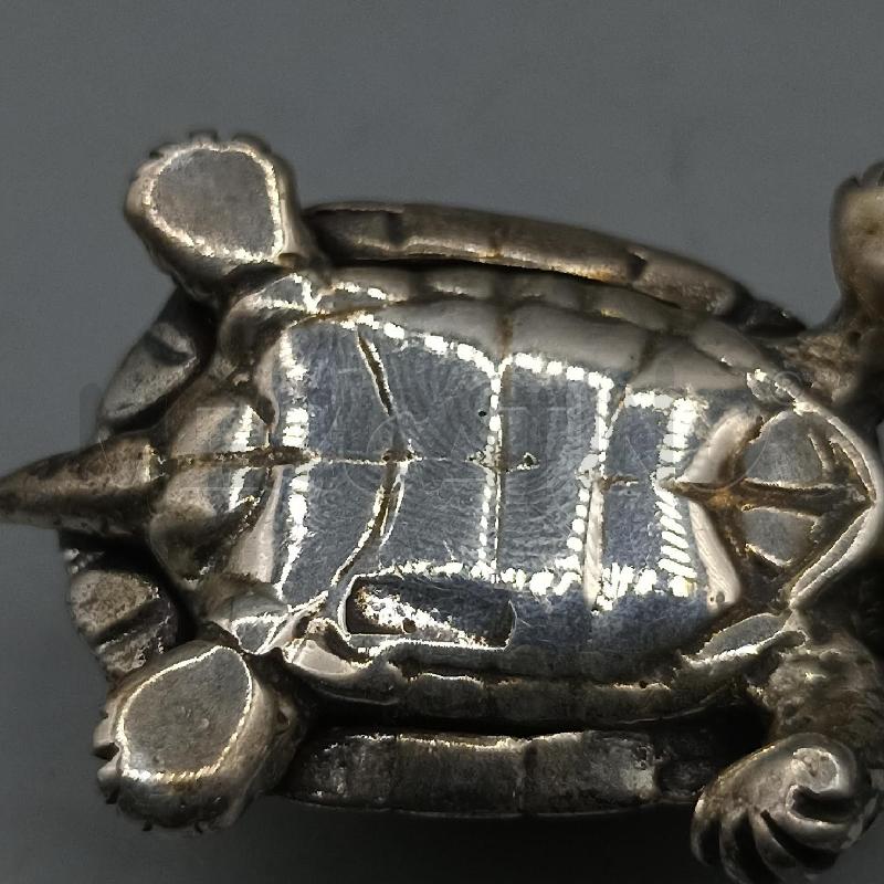 TARTARUGA ARGENTO | Mercatino dell'Usato Lamezia terme 5