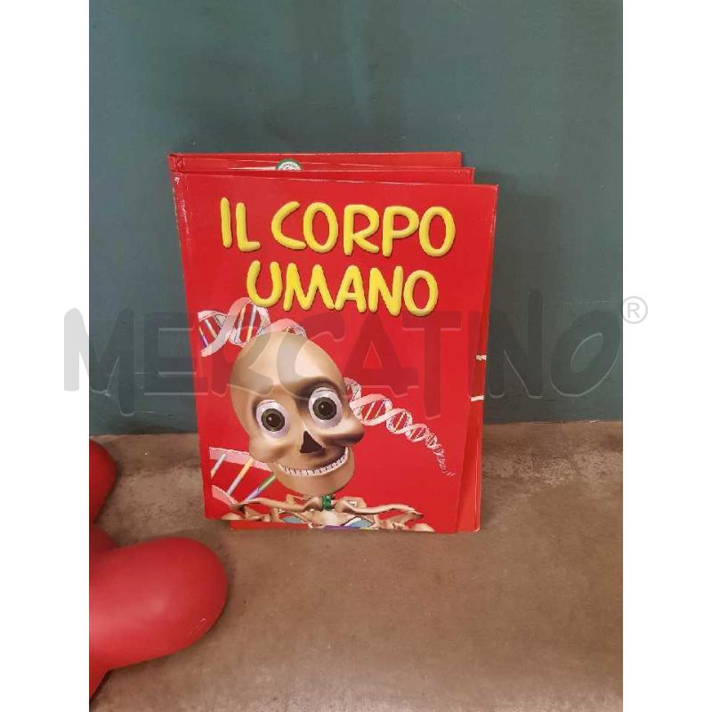 SCHELETRO CORPO UMANO+RIVISTE | Mercatino dell'Usato Cesena 3