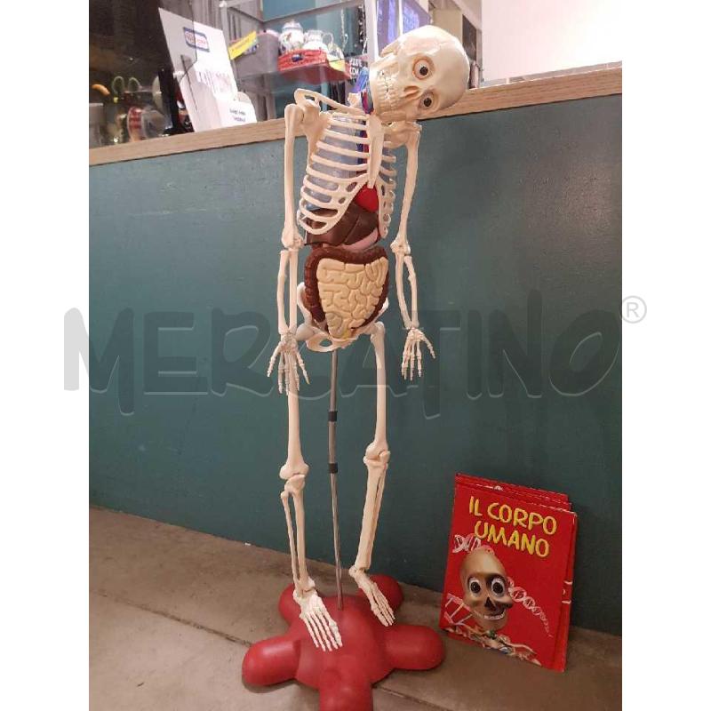 SCHELETRO CORPO UMANO+RIVISTE | Mercatino dell'Usato Cesena 4