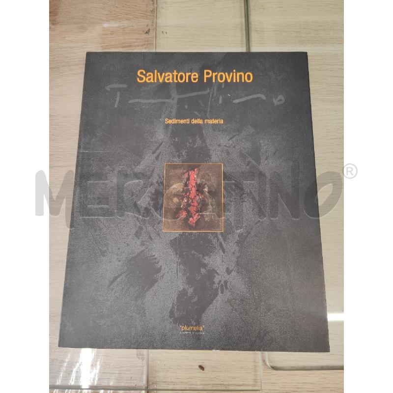 CATALOGO SALVATORE PROVINO  SEDIMENTI DELLA MATERIA  | Mercatino dell'Usato Vinci - fraz. sovigliana 1