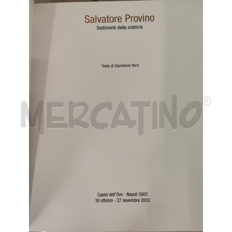 CATALOGO SALVATORE PROVINO  SEDIMENTI DELLA MATERIA  | Mercatino dell'Usato Vinci - fraz. sovigliana 2