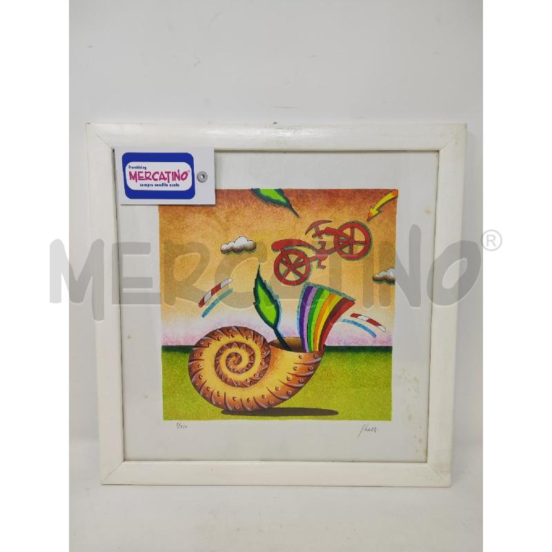 LITOGRAFIA CONCHIGLIA GHELLI COLORATA  | Mercatino dell'Usato Vinci - fraz. sovigliana 1