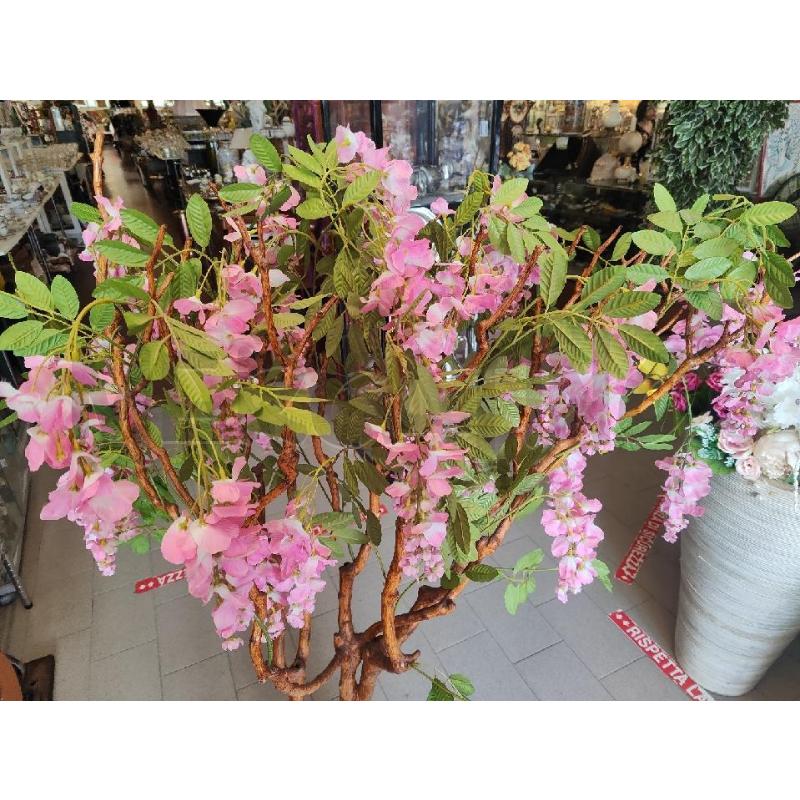 PIANTA FINTA GLICINE ROSA | Mercatino dell'Usato Vinci - fraz. sovigliana 2