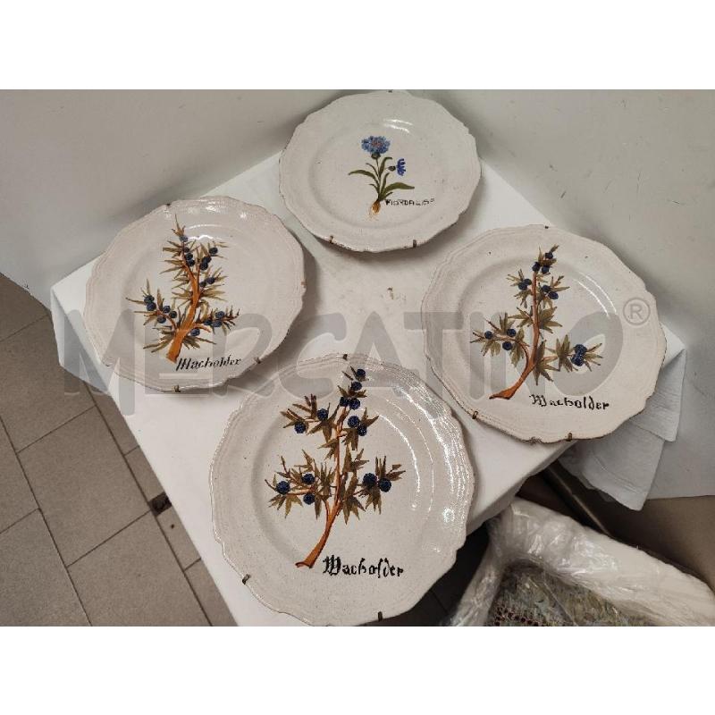PIATTI PZ. 4 3 MACHOLDER + 1 FIORDALISO | Mercatino dell'Usato Vinci - fraz. sovigliana 1