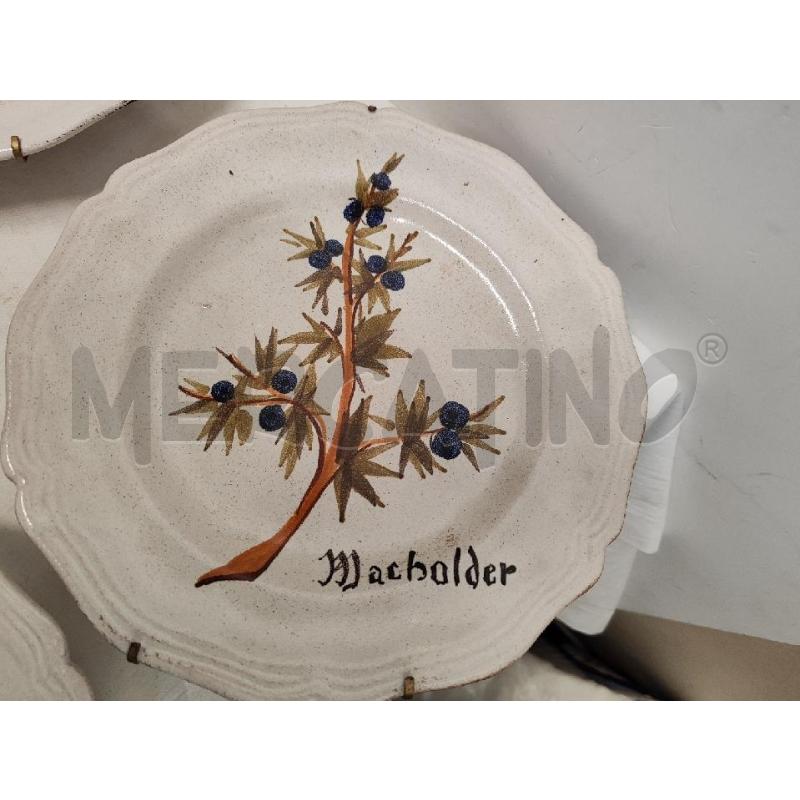PIATTI PZ. 4 3 MACHOLDER + 1 FIORDALISO | Mercatino dell'Usato Vinci - fraz. sovigliana 5