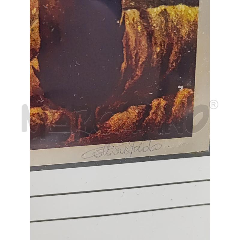 QUADRO 38X34 CIPRESSI SU LASTRA ARGENTATA PAOLO COLLINI N.97 | Mercatino dell'Usato Vinci - fraz. sovigliana 3