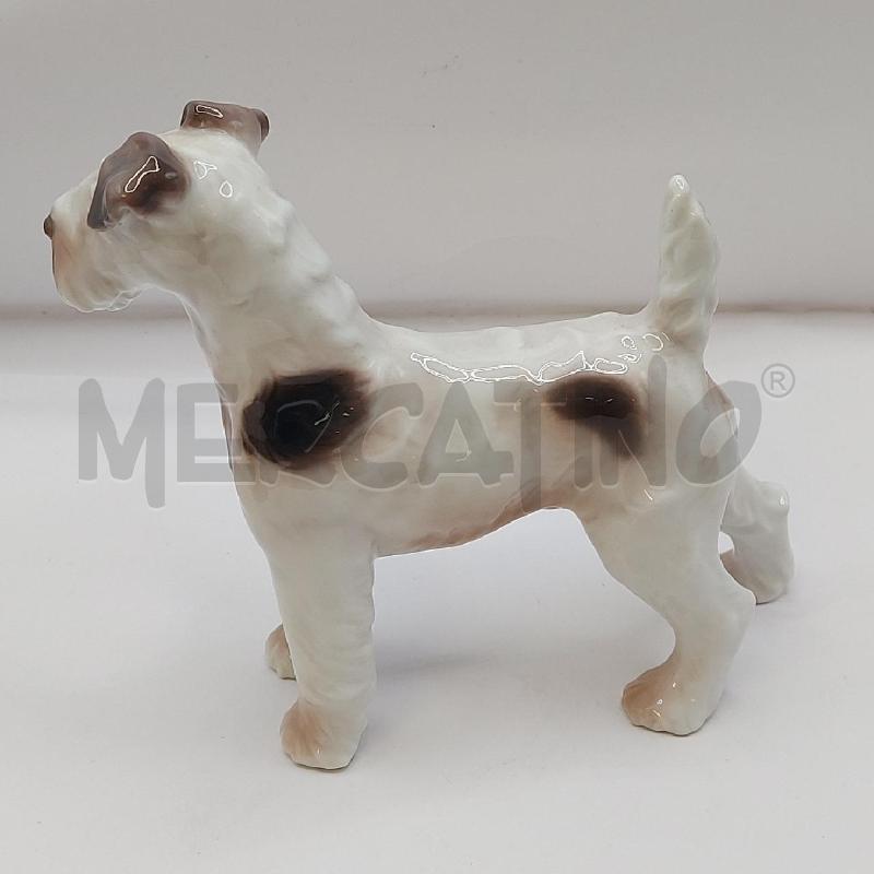 ANIMALE CANE  | Mercatino dell'Usato Genova sampierdarena 2