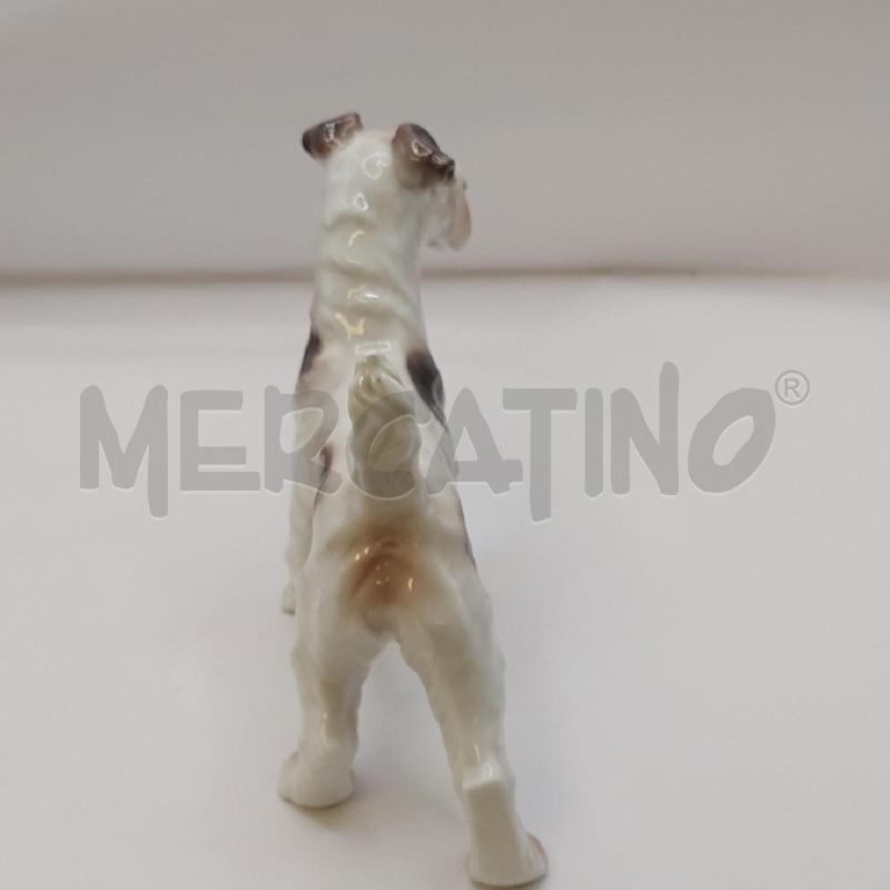 ANIMALE CANE  | Mercatino dell'Usato Genova sampierdarena 4