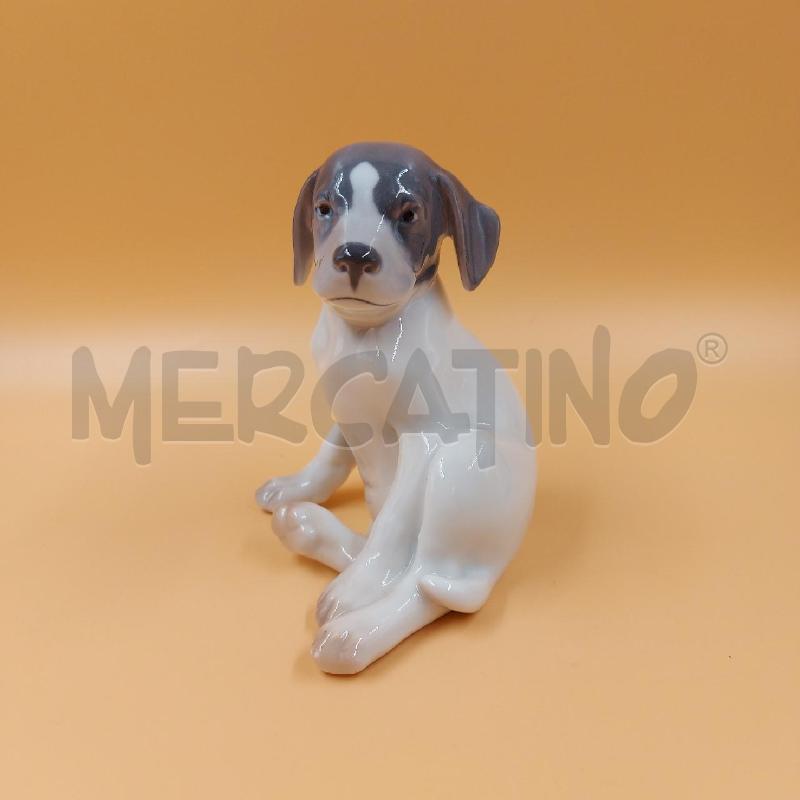 CAGNOLINO COPENHAGEN  | Mercatino dell'Usato Genova sampierdarena 1