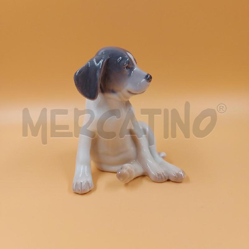 CAGNOLINO COPENHAGEN  | Mercatino dell'Usato Genova sampierdarena 2