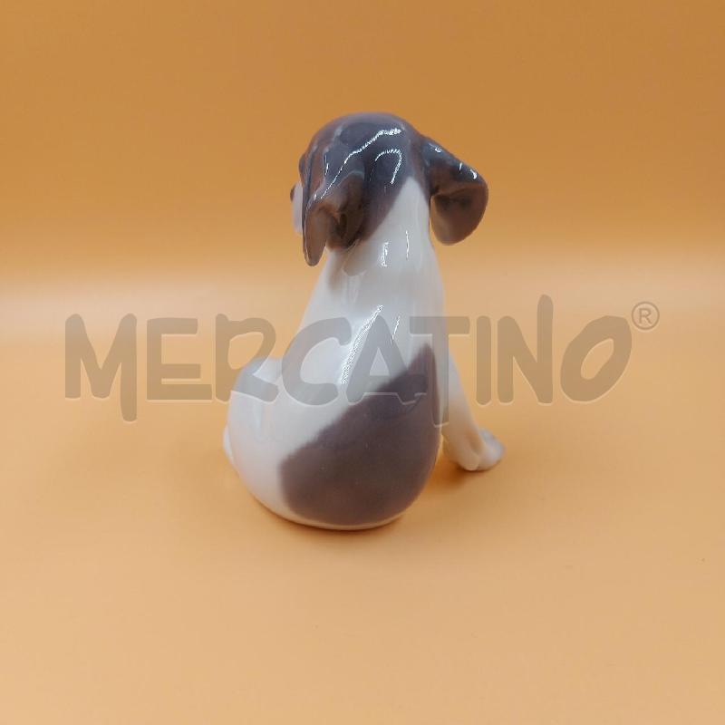 CAGNOLINO COPENHAGEN  | Mercatino dell'Usato Genova sampierdarena 3