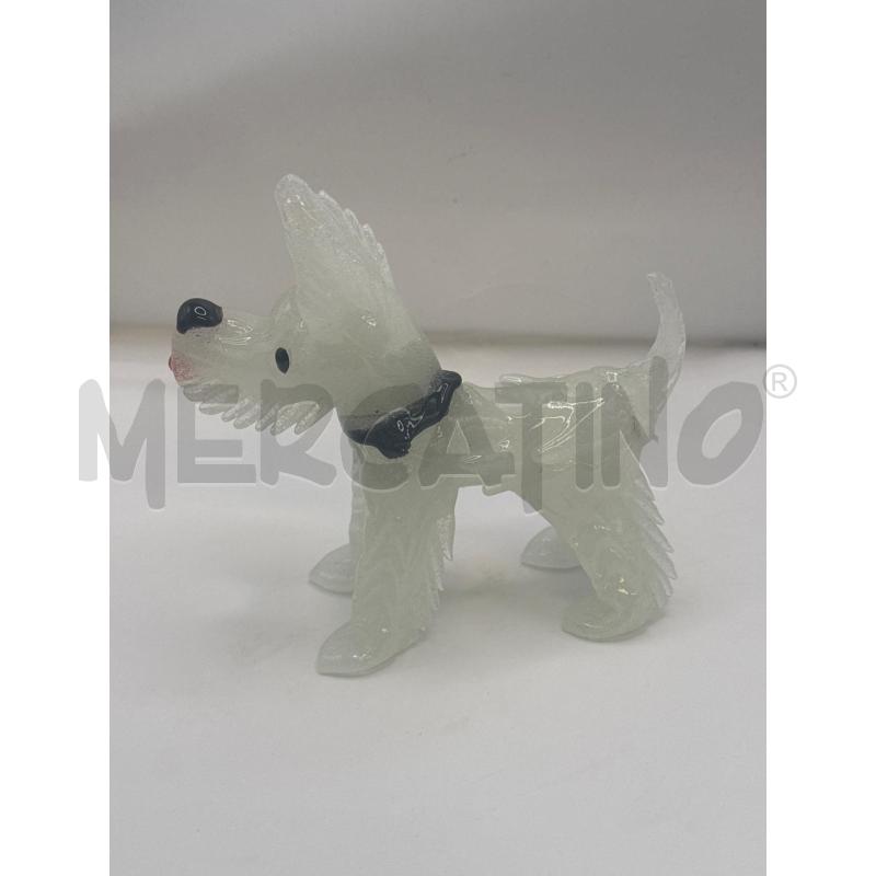 CAGNOLINO TRASP | Mercatino dell'Usato Genova sampierdarena 1