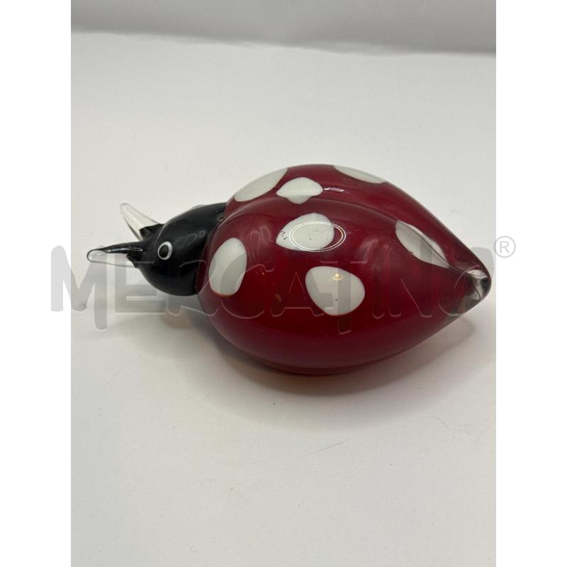 COCCINELLA TRASP | Mercatino dell'Usato Genova sampierdarena 1