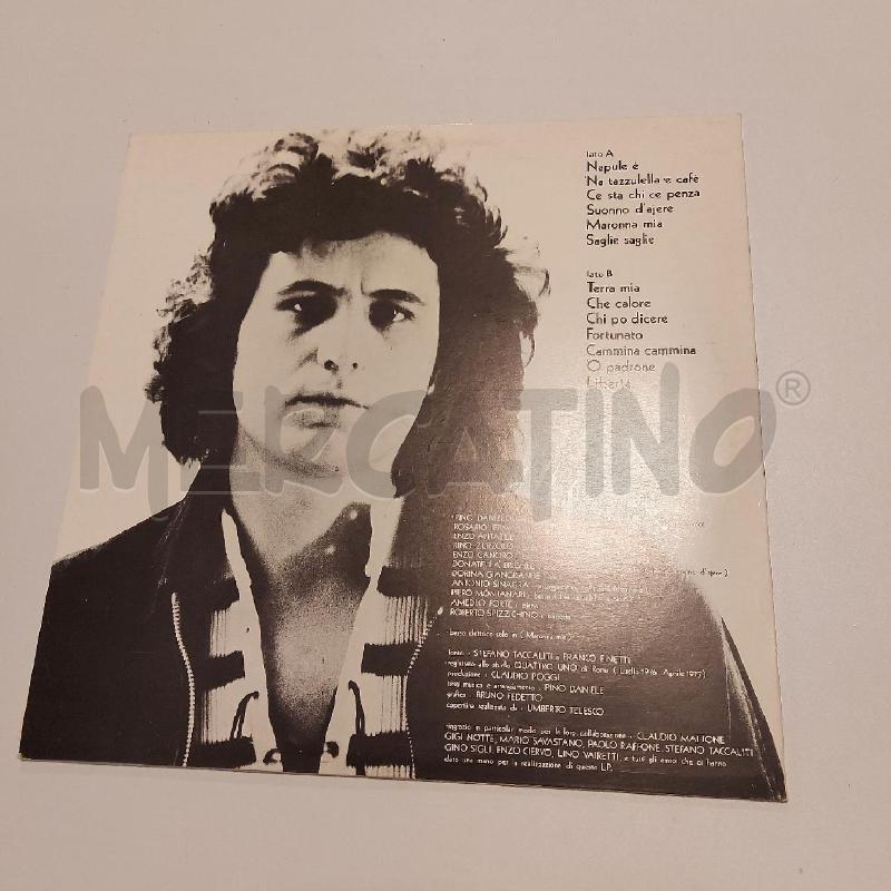 PINO DANIELE – TERRA MIA | Mercatino dell'Usato Genova sampierdarena 2