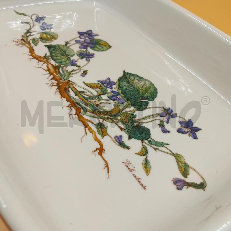 PIROFILA RETTANGOLARE BOTANICA  | Mercatino dell'Usato Genova sampierdarena 2