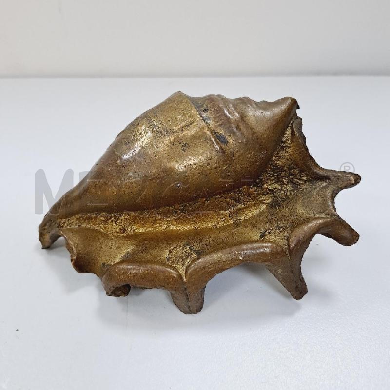 CONCHIGLIA OTTONE | Mercatino dell'Usato Latina 3
