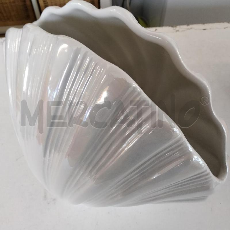 CONCHIGLIA CERAMICA ESTE | Mercatino dell'Usato Viareggio 2