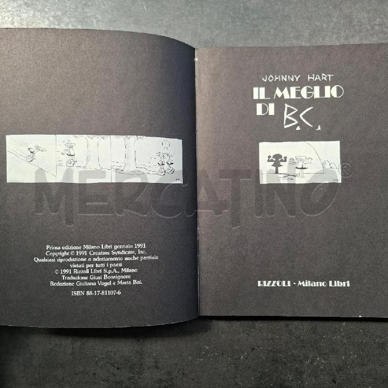 IL MEGLIO DI B.C. | Mercatino dell'Usato Arcore 3