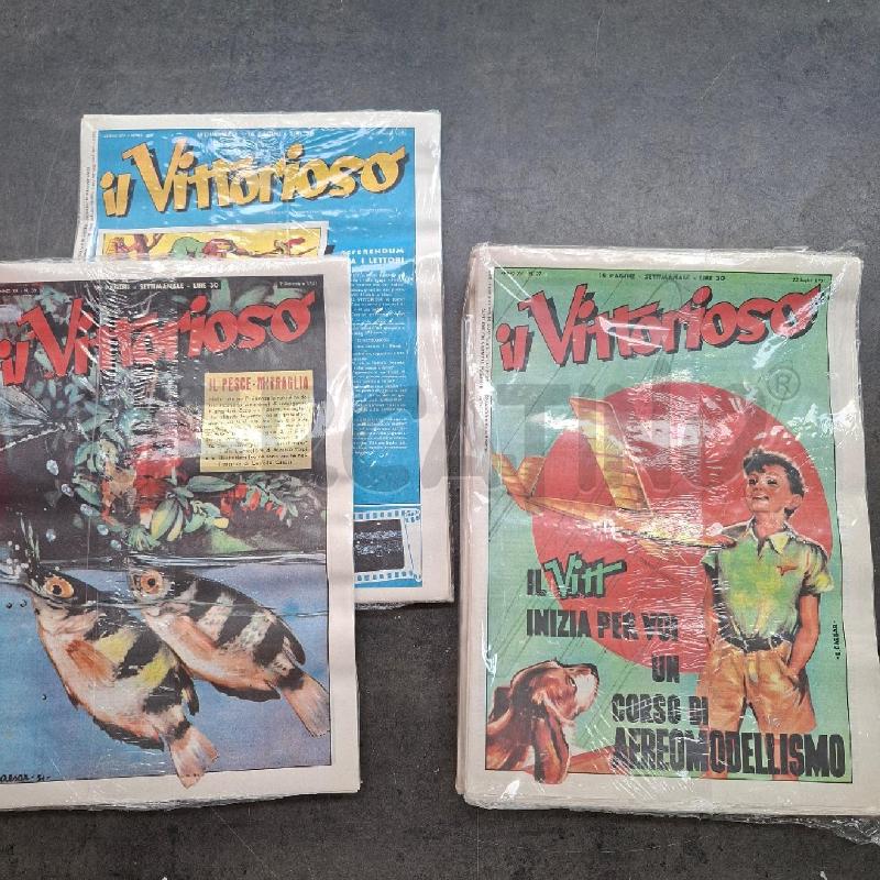 IL VITTORIOSO  | Mercatino dell'Usato Arcore 3