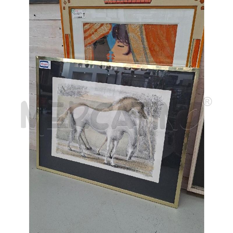 PROVA D'AUTORE DOMENICO PURIFICATO CAVALLI 50X70 CM | Mercatino dell'Usato Arcore 1