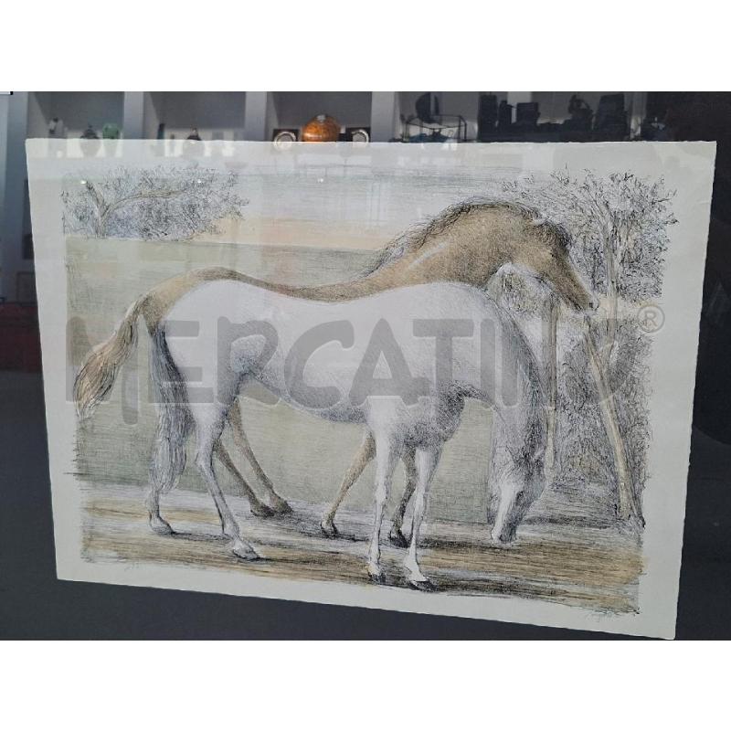 PROVA D'AUTORE DOMENICO PURIFICATO CAVALLI 50X70 CM | Mercatino dell'Usato Arcore 2