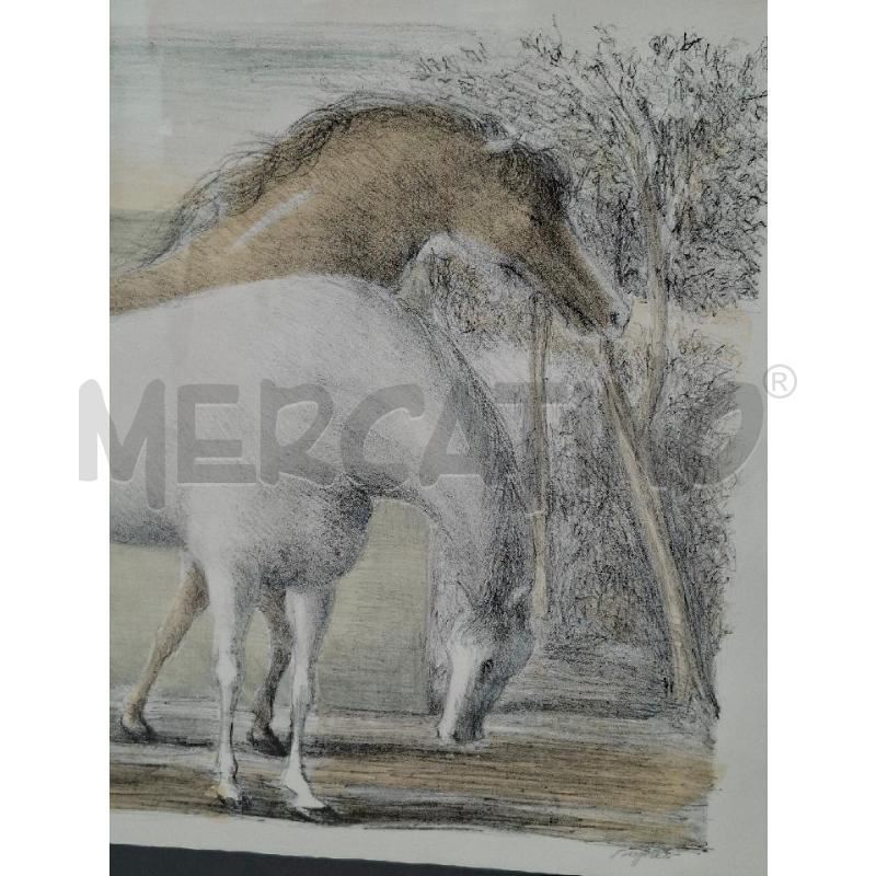 PROVA D'AUTORE DOMENICO PURIFICATO CAVALLI 50X70 CM | Mercatino dell'Usato Arcore 5