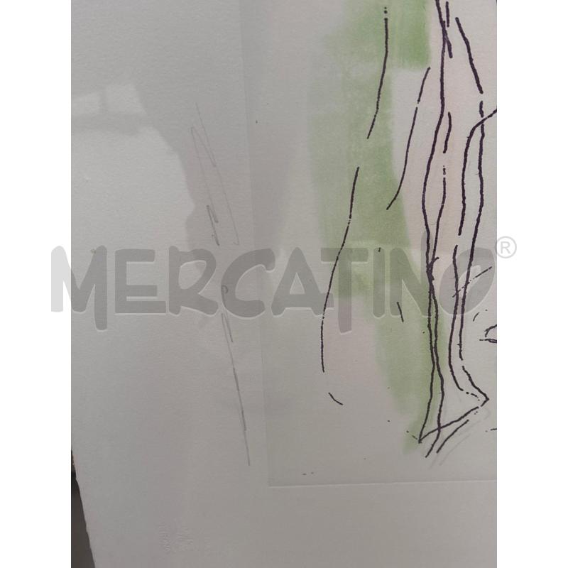 QUADRO LITOGRAFIA ERNESTO TRECCANI ALBERI CORNICE 68X87 | Mercatino dell'Usato Arcore 4