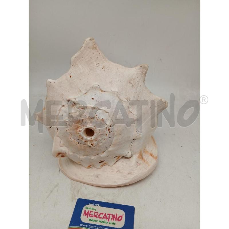 CONCHIGLIA GIGANTE ALTEZZA 22, LARGHEZZA 28 | Mercatino dell'Usato Busnago 2