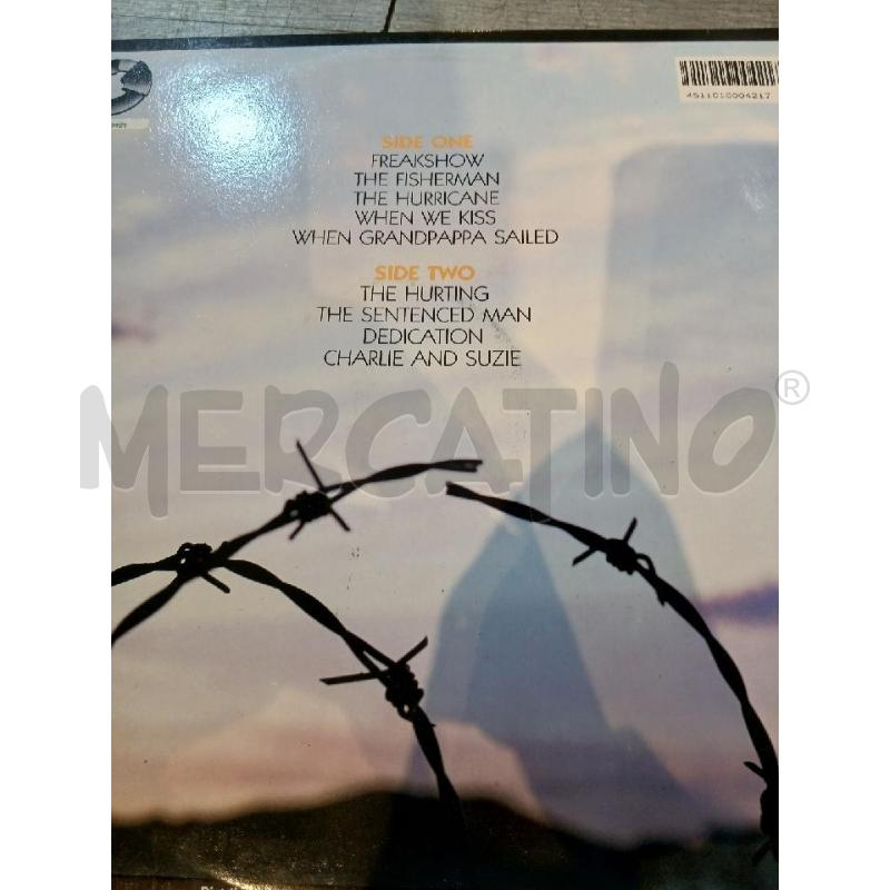 DAVID KNOPFLER (1986) | Mercatino dell'Usato Busnago 2