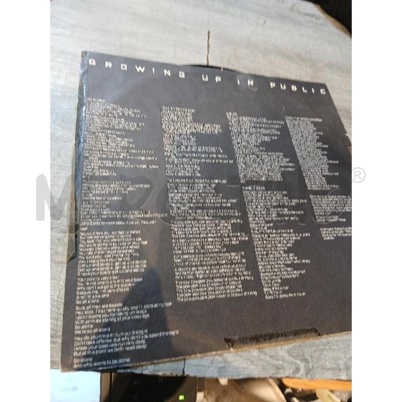 LOU REED GROWING UP IN PUBLIC (1980) | Mercatino dell'Usato Busnago 3