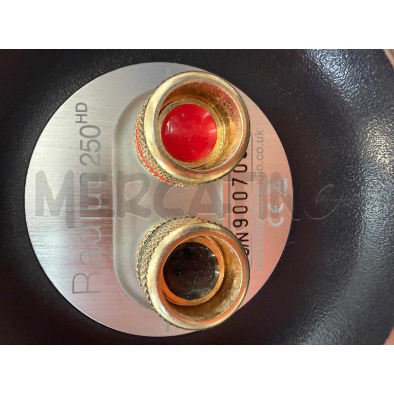 MONITOR AUDIO RADIUS 380 + ALTOPARLANTI 270HD | Mercatino dell'Usato Triuggio 3