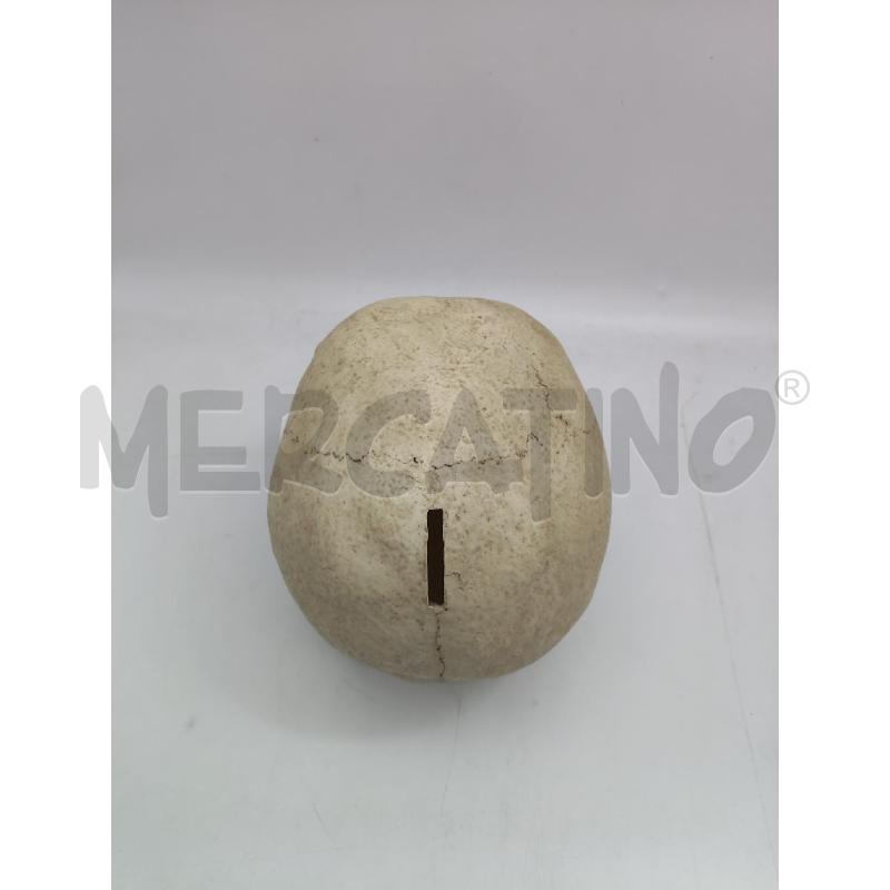 SALVADANAIO TESCHIO CON TOPO | Mercatino dell'Usato Messina 5