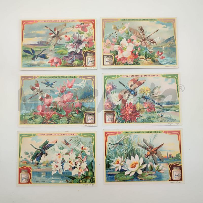 FIGURINE LIEBIG 1907 N 896 FIORI E LIBELLULE | Mercatino dell'Usato Corbetta 1