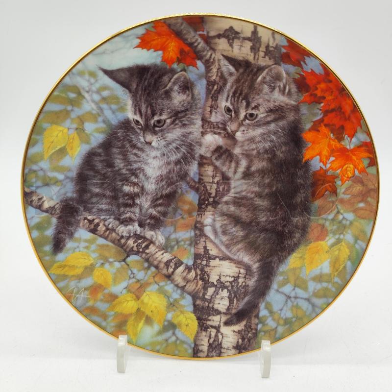 PIATTO ROYAL DOULTON WHOSE IDEA WAS THIS? | Mercatino dell'Usato Corbetta 1