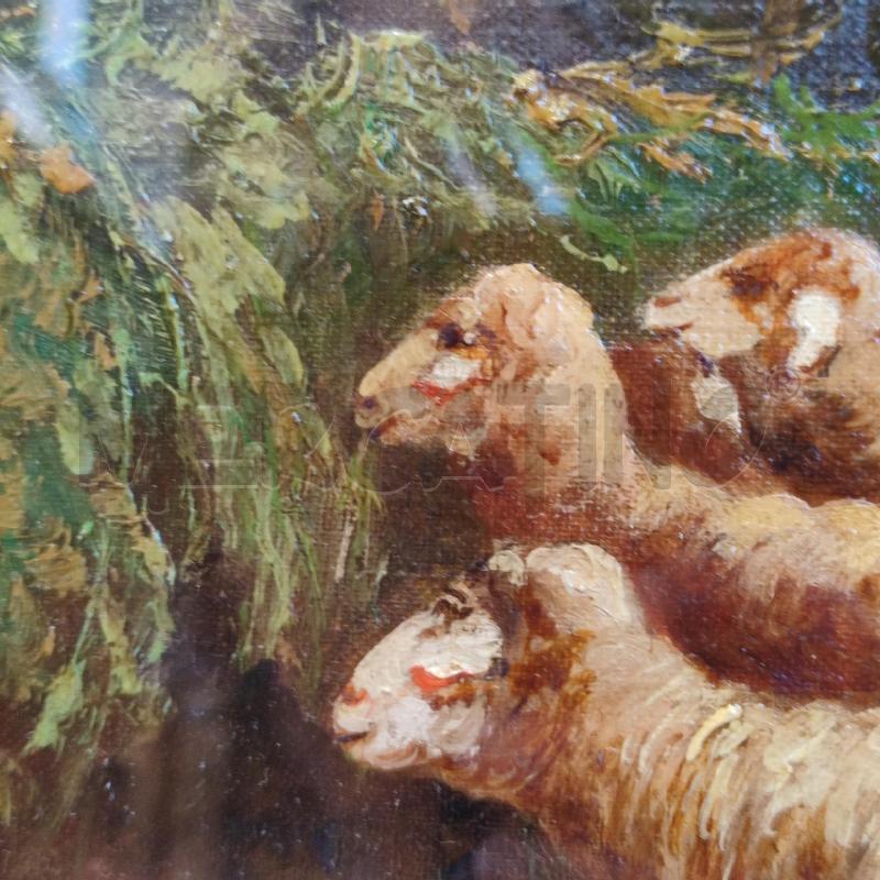 QUADRO ANTONIO MILONE PECORE OLIO SU TELA | Mercatino dell'Usato Corbetta 4