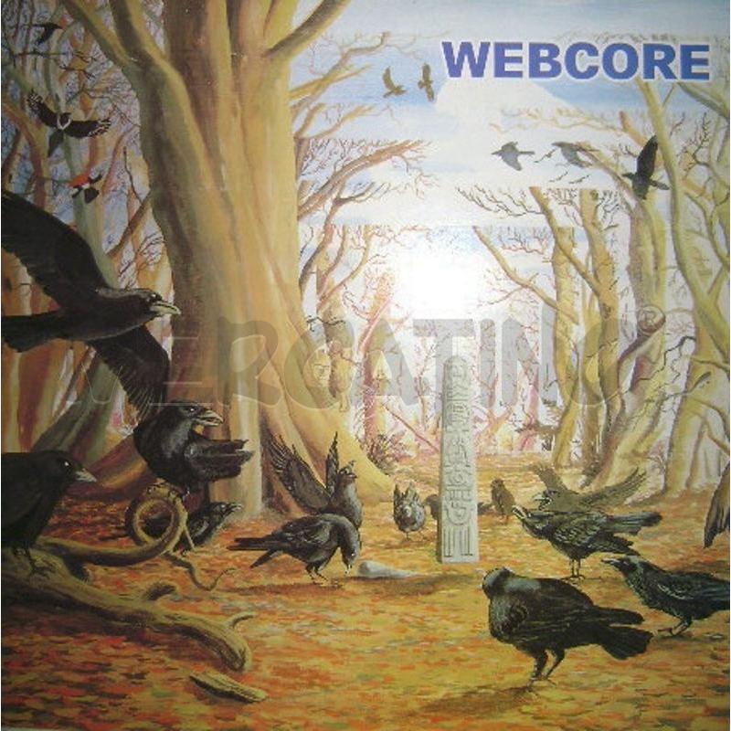 WEBCORE (2) - WEBCORE | Mercatino dell'Usato Corbetta 1