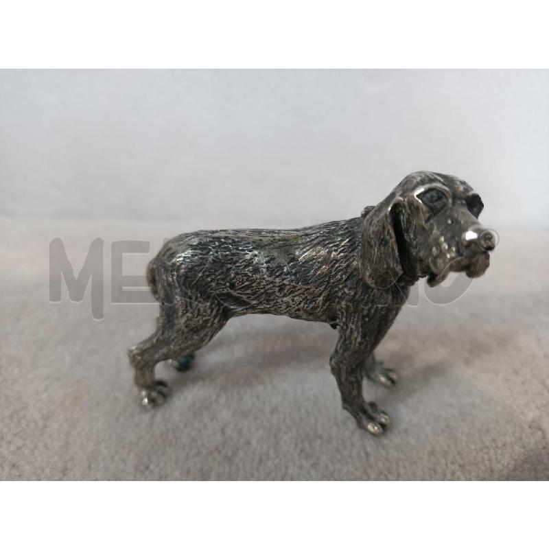 88GR - CANE ### | Mercatino dell'Usato Modena 2