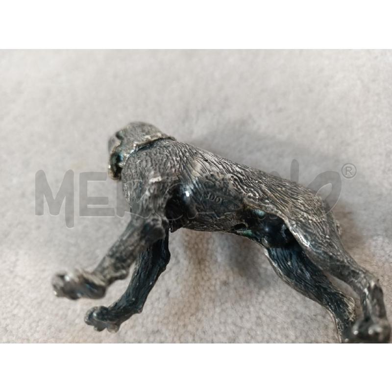 88GR - CANE ### | Mercatino dell'Usato Modena 4