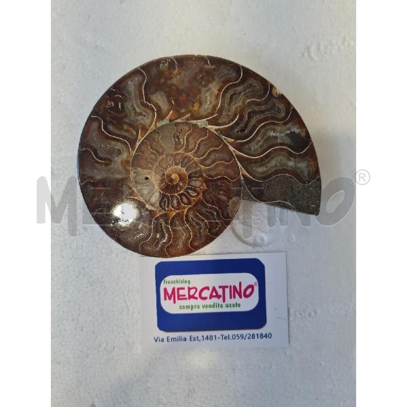AMMONITE MINERALE 14CM | Mercatino dell'Usato Modena 1