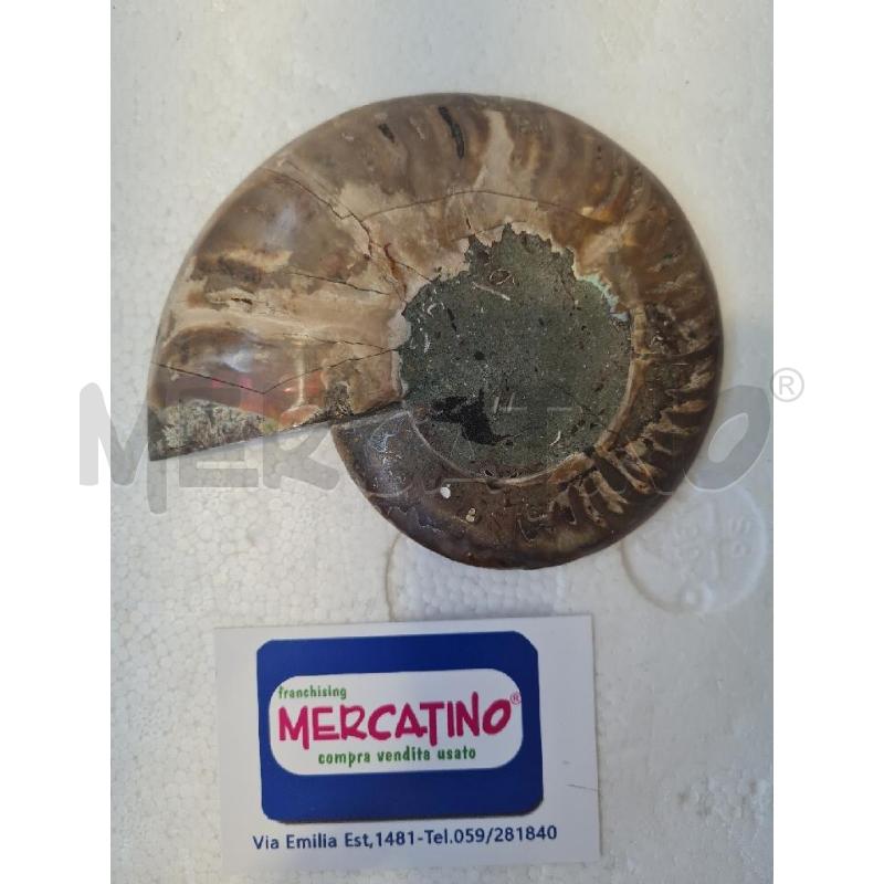 AMMONITE MINERALE 14CM | Mercatino dell'Usato Modena 2