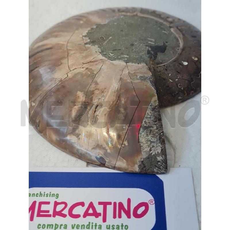 AMMONITE MINERALE 14CM | Mercatino dell'Usato Modena 3