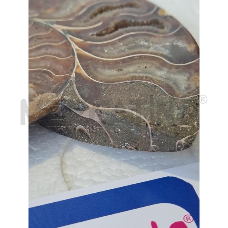 AMMONITE MINERALE 14CM | Mercatino dell'Usato Modena 5