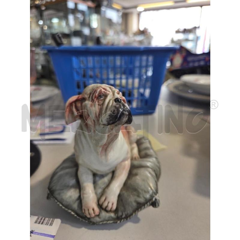 BULLDOG SU CUSCINO PRCLL CDM | Mercatino dell'Usato Modena 2