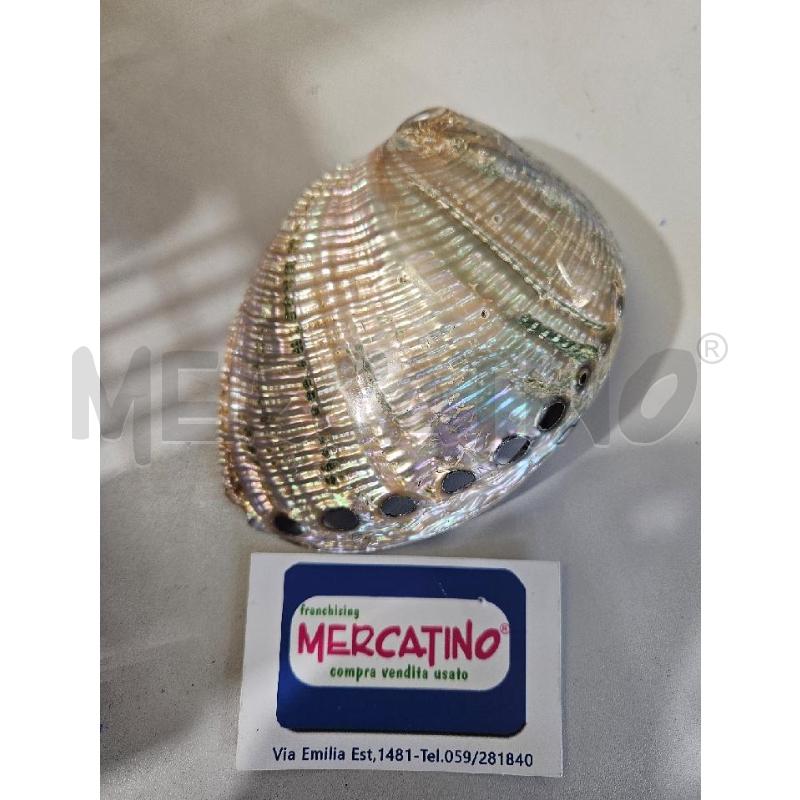 CONCHIGLIA DECORATIVA MADREPERLA 14X10CM | Mercatino dell'Usato Modena 2