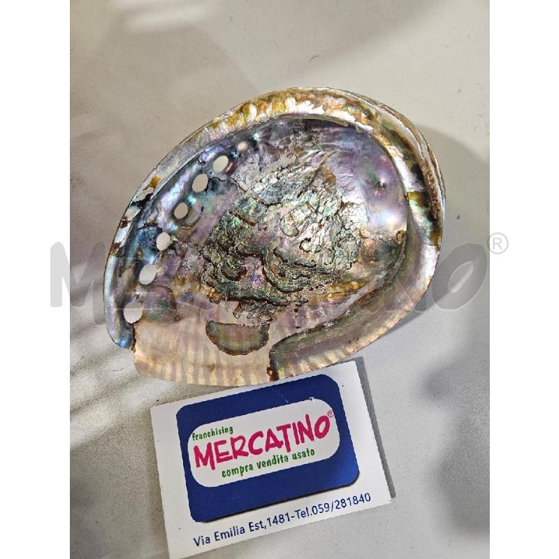 CONCHIGLIA DECORATIVA MADREPERLA 14X10CM | Mercatino dell'Usato Modena 3
