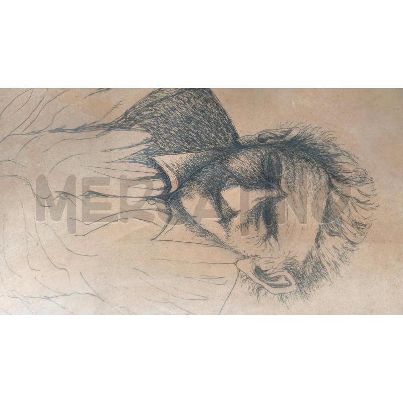 DISEGNO CHINA LA VECCHIA DI GORO CAVALLARI 73X53CM | Mercatino dell'Usato Modena 2